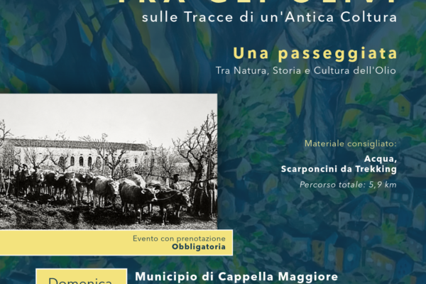 Locandina di “Tra gli olivi: sulle tracce di un'antica coltura”