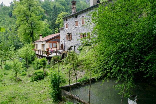 Ristorante Da Nereo